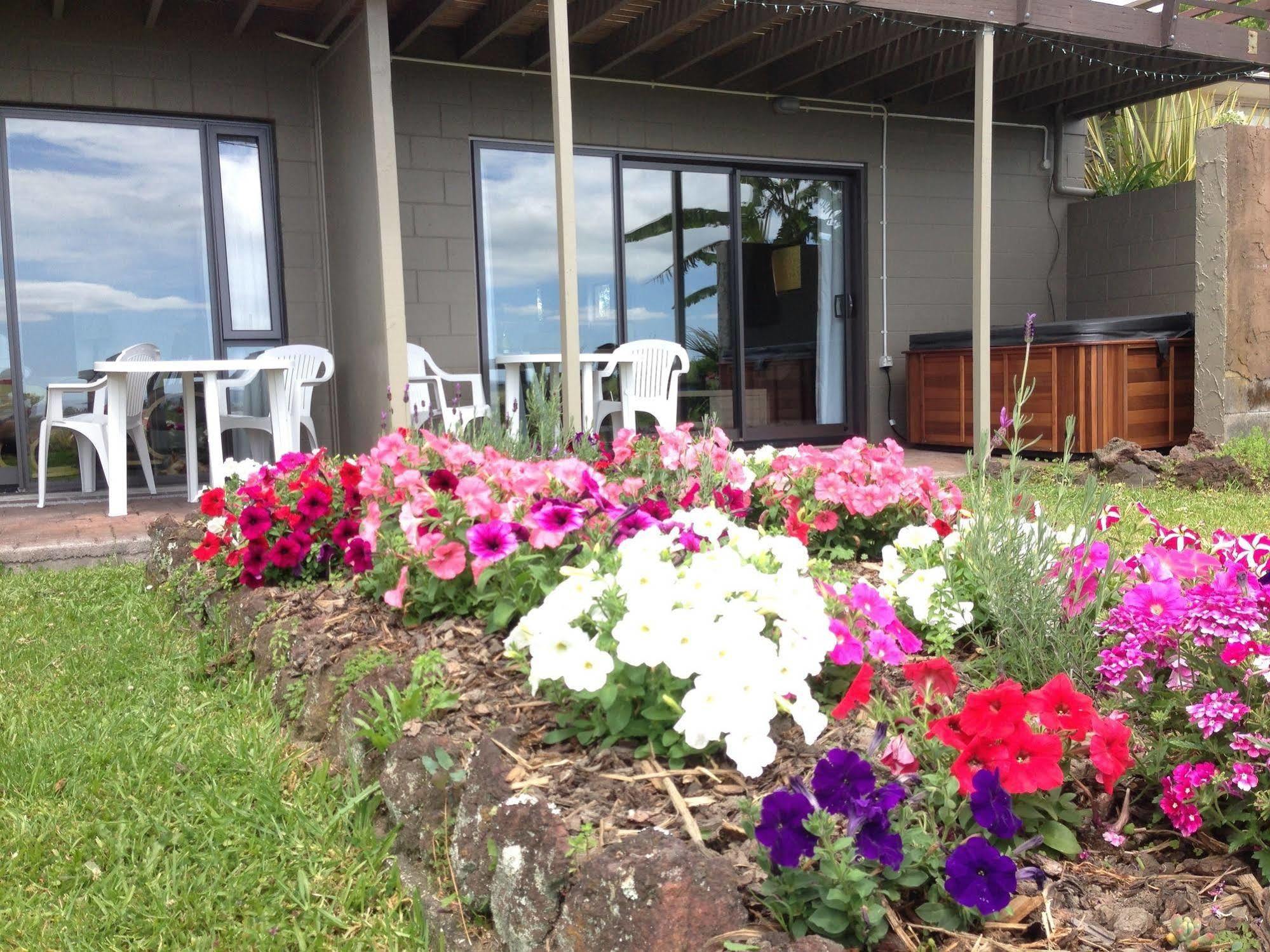 Baywaterviews Bed & Breakfast Haruru Dış mekan fotoğraf